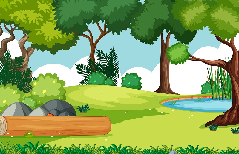 Gambar-Hutan